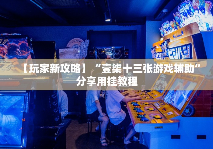 【玩家新攻略】“壹柒十三张游戏辅助”分享用挂教程