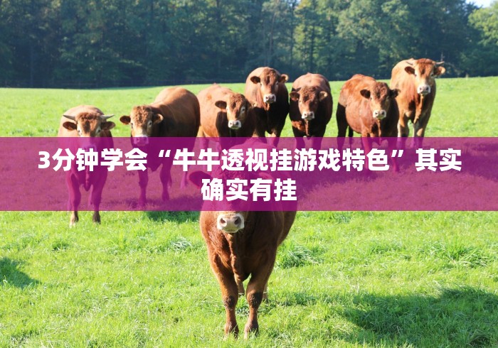 3分钟学会“牛牛透视挂游戏特色”其实确实有挂