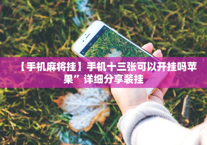 【手机麻将挂】手机十三张可以开挂吗苹果”详细分享装挂