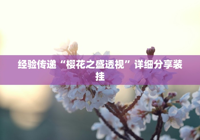经验传递“樱花之盛透视”详细分享装挂
