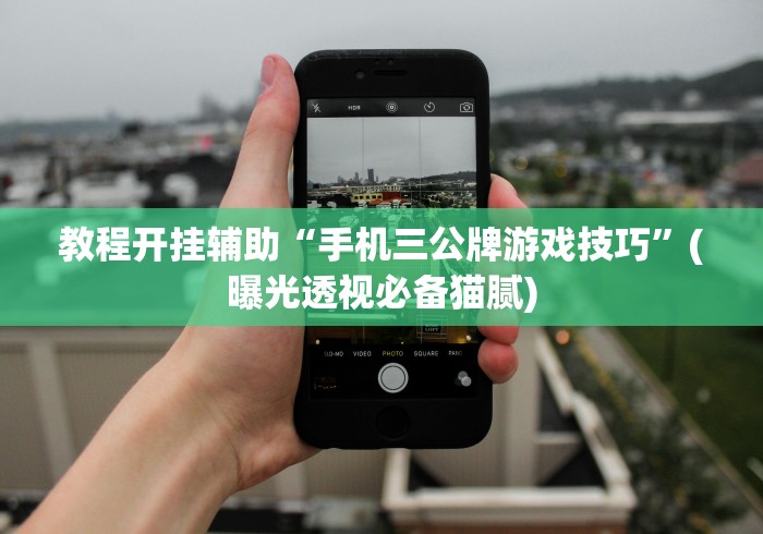 教程开挂辅助“手机三公牌游戏技巧”(曝光透视必备猫腻)