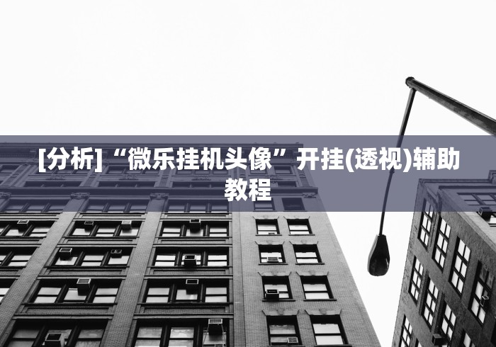 [分析]“微乐挂机头像”开挂(透视)辅助教程