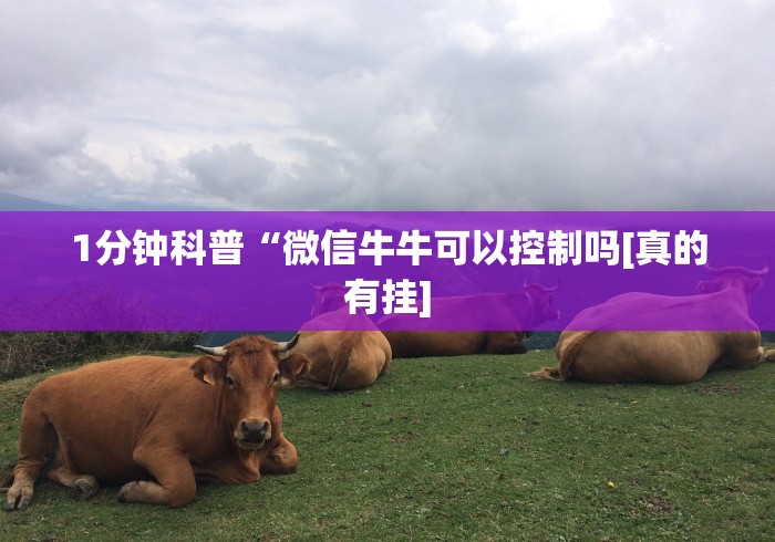 1分钟科普“微信牛牛可以控制吗[真的有挂]