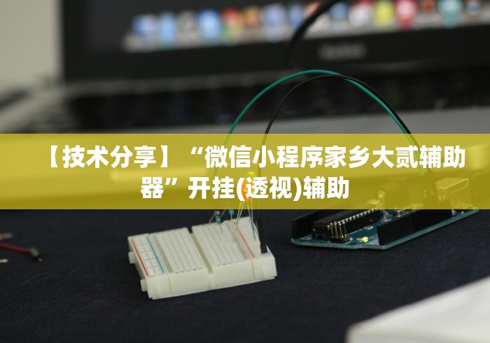 【技术分享】“微信小程序家乡大贰辅助器”开挂(透视)辅助
