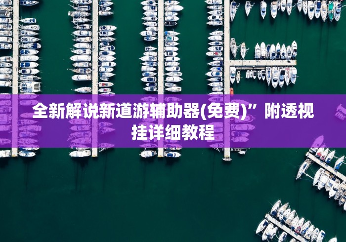 全新解说新道游辅助器(免费)”附透视挂详细教程