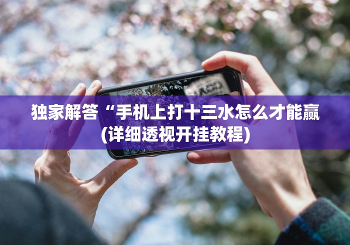 独家解答“手机上打十三水怎么才能赢(详细透视开挂教程)