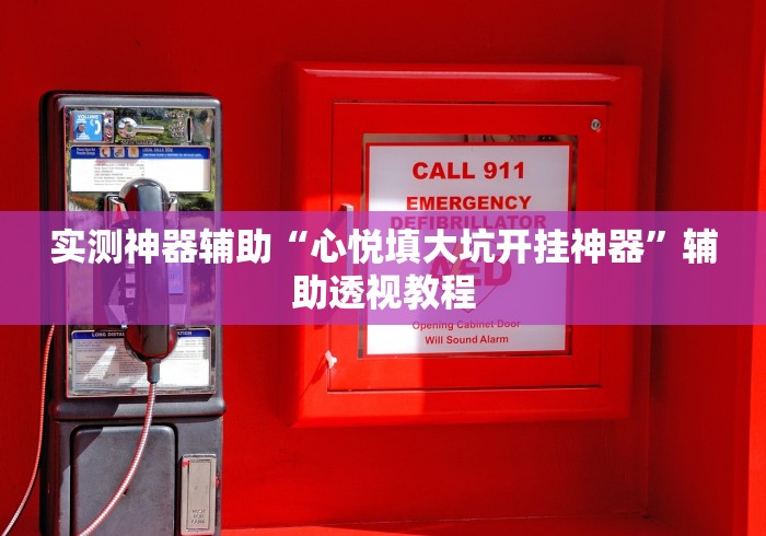 实测神器辅助“心悦填大坑开挂神器”辅助透视教程