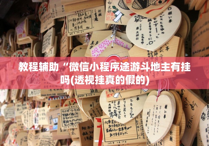 教程辅助“微信小程序途游斗地主有挂吗(透视挂真的假的)