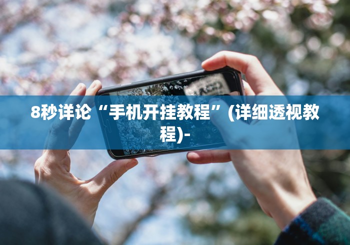 8秒详论“手机开挂教程”(详细透视教程)-