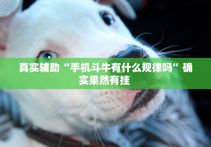 真实辅助“手机斗牛有什么规律吗”确实果然有挂 