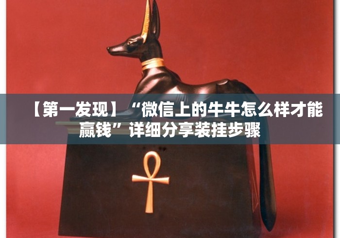 【第一发现】“微信上的牛牛怎么样才能赢钱”详细分享装挂步骤