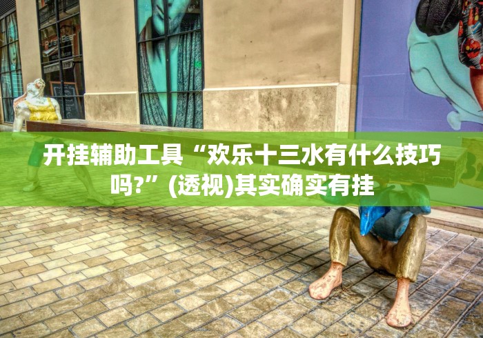 开挂辅助工具“欢乐十三水有什么技巧吗?”(透视)其实确实有挂