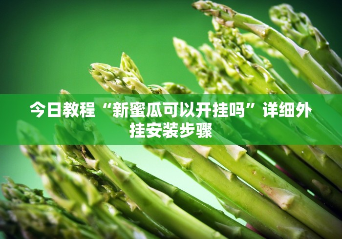 今日教程“新蜜瓜可以开挂吗	”详细外挂安装步骤
