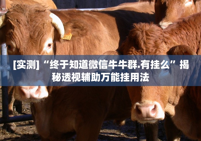 [实测]“终于知道微信牛牛群.有挂么”揭秘透视辅助万能挂用法