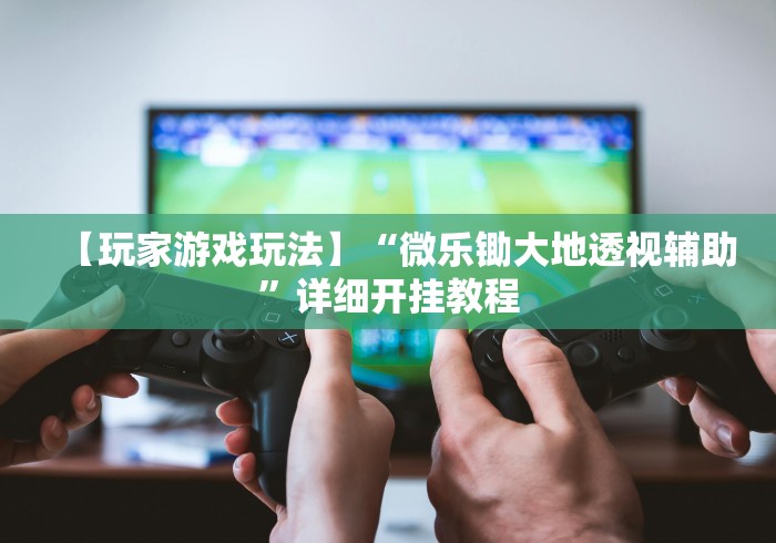 【玩家游戏玩法】“微乐锄大地透视辅助”详细开挂教程