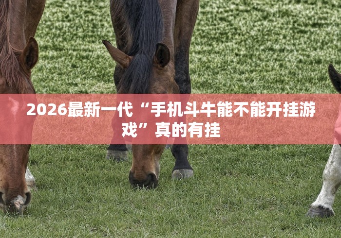 2026最新一代“手机斗牛能不能开挂游戏”真的有挂