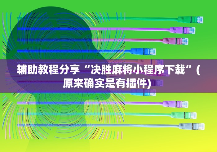辅助教程分享“决胜麻将小程序下载”(原来确实是有插件) 
