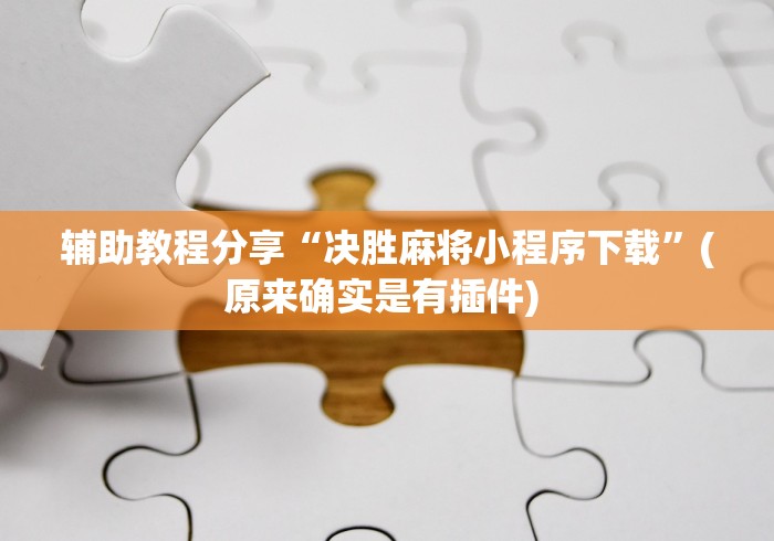 辅助教程分享“决胜麻将小程序下载”(原来确实是有插件) 