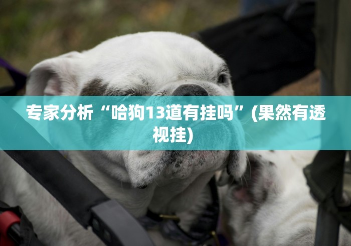 专家分析“哈狗13道有挂吗”(果然有透视挂) 