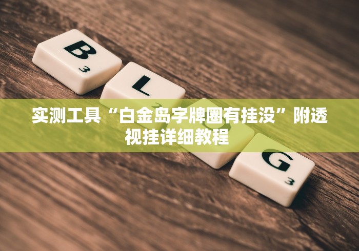 实测工具“白金岛字牌圈有挂没”附透视挂详细教程 