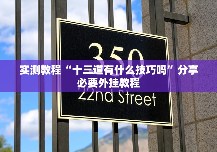 实测教程“十三道有什么技巧吗”分享必要外挂教程