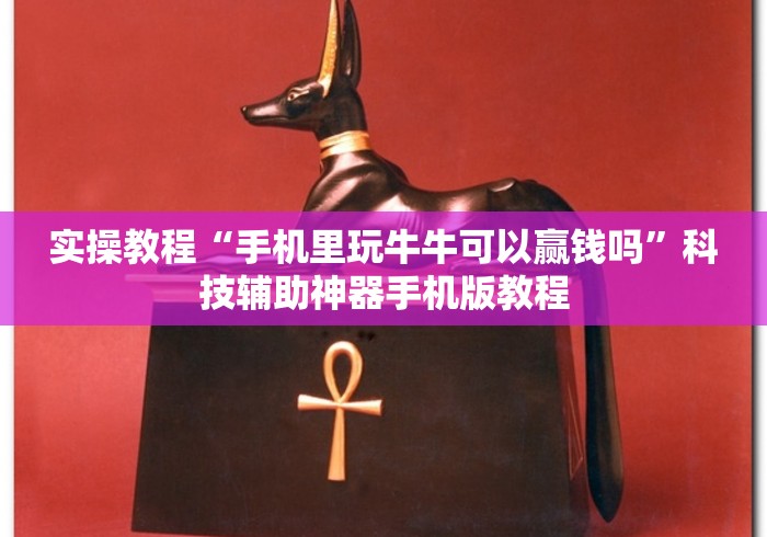 实操教程“手机里玩牛牛可以赢钱吗	”科技辅助神器手机版教程