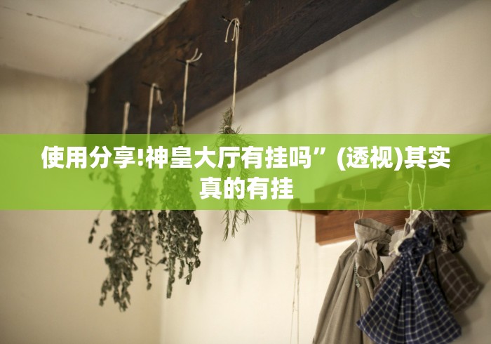 使用分享!神皇大厅有挂吗”(透视)其实真的有挂