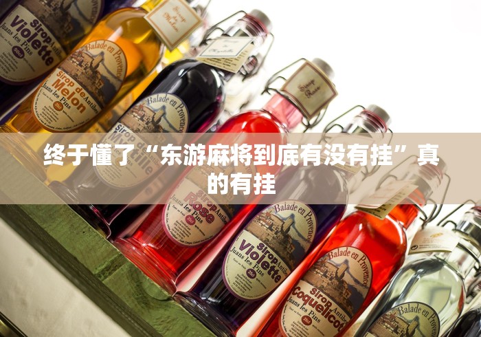终于懂了“东游麻将到底有没有挂”真的有挂