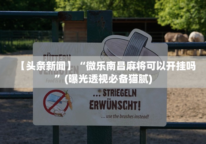 【头条新闻】“微乐南昌麻将可以开挂吗”(曝光透视必备猫腻)
