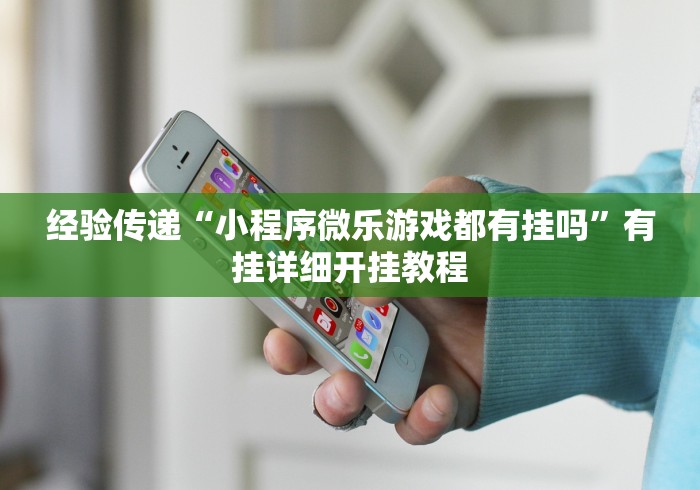 经验传递“小程序微乐游戏都有挂吗”有挂详细开挂教程