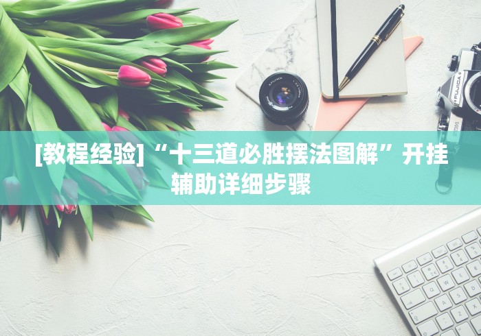[教程经验]“十三道必胜摆法图解”开挂辅助详细步骤