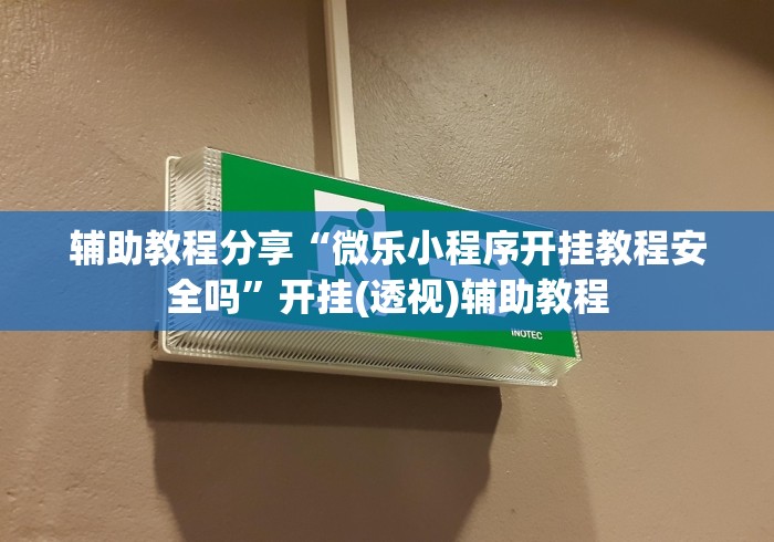 辅助教程分享“微乐小程序开挂教程安全吗”开挂(透视)辅助教程