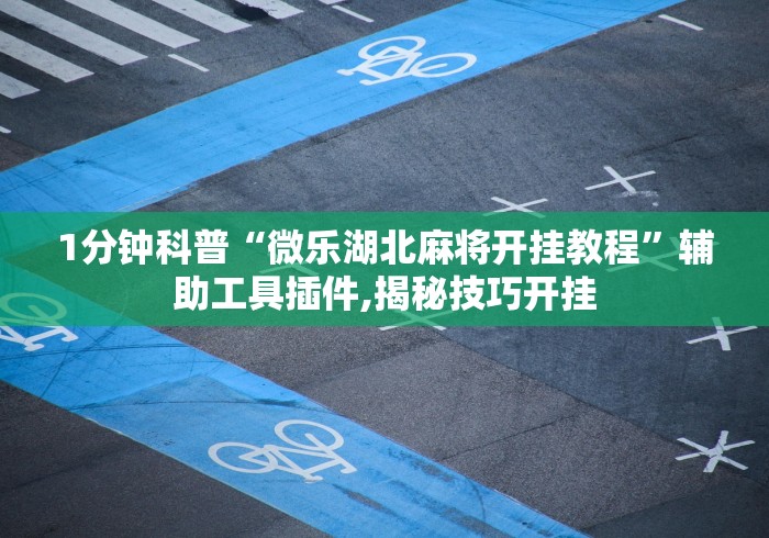 1分钟科普“微乐湖北麻将开挂教程”辅助工具插件,揭秘技巧开挂
