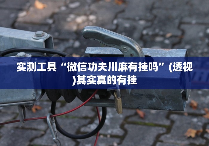 实测工具“微信功夫川麻有挂吗”(透视)其实真的有挂