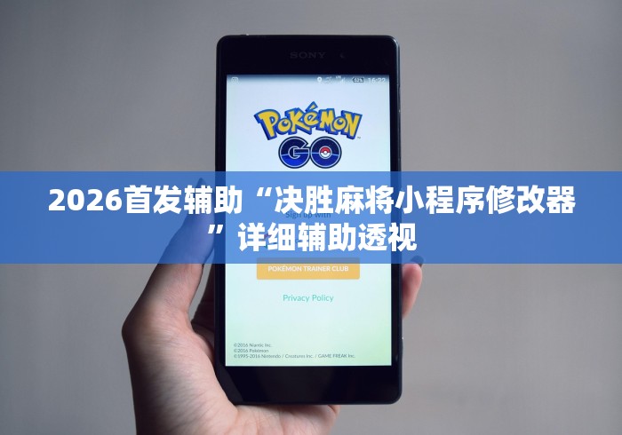 2026首发辅助“决胜麻将小程序修改器	”详细辅助透视