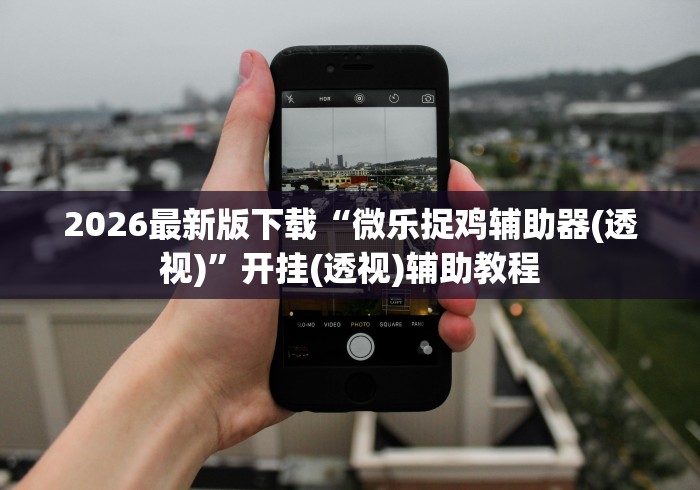 2026最新版下载“微乐捉鸡辅助器(透视)”开挂(透视)辅助教程