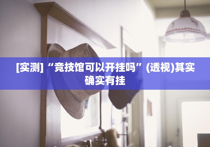 [实测]“竞技馆可以开挂吗”(透视)其实确实有挂
