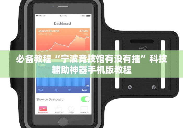 必备教程“宁波竞技馆有没有挂”科技辅助神器手机版教程