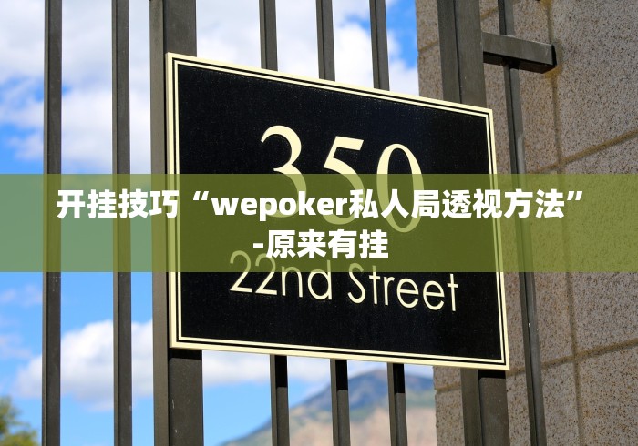 开挂技巧“wepoker私人局透视方法”-原来有挂
