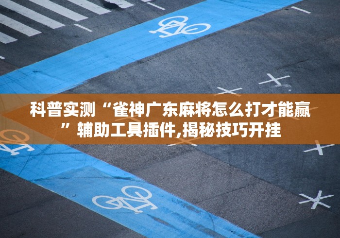 科普实测“雀神广东麻将怎么打才能赢”辅助工具插件,揭秘技巧开挂