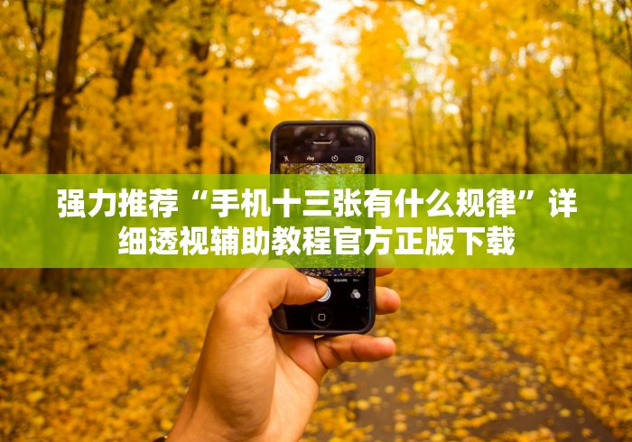 强力推荐“手机十三张有什么规律”详细透视辅助教程官方正版下载