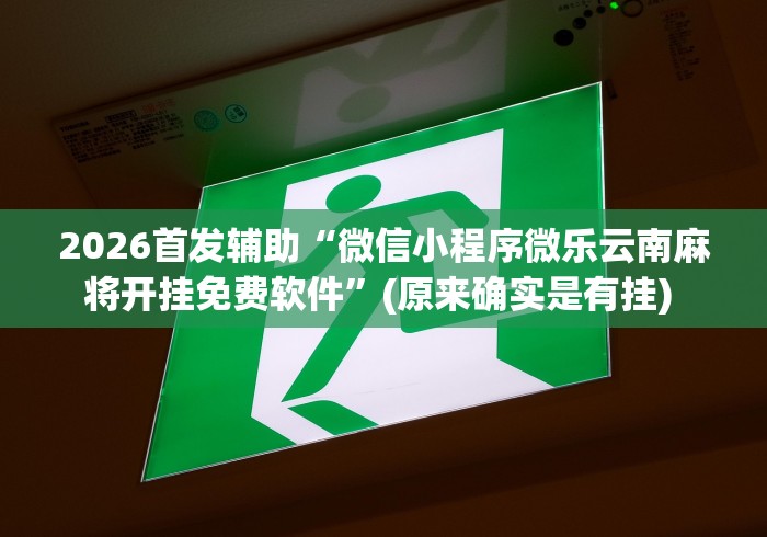 2026首发辅助“微信小程序微乐云南麻将开挂免费软件”(原来确实是有挂) 