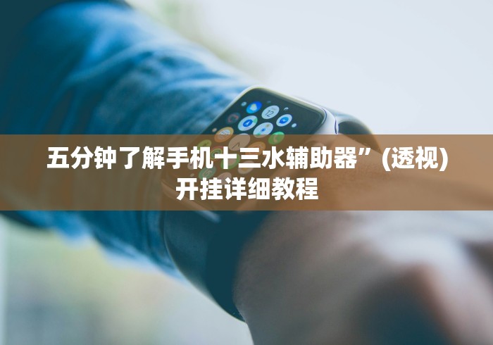 五分钟了解手机十三水辅助器”(透视)开挂详细教程