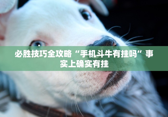 必胜技巧全攻略“手机斗牛有挂吗”事实上确实有挂
