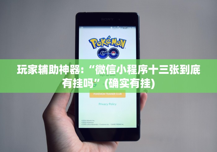 玩家辅助神器:“微信小程序十三张到底有挂吗”(确实有挂)