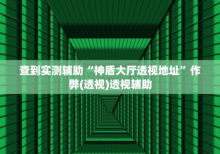 查到实测辅助“神盾大厅透视地址	”作弊(透视)透视辅助