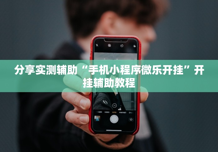 分享实测辅助“手机小程序微乐开挂”开挂辅助教程