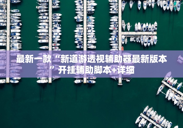 最新一款“新道游透视辅助器最新版本”开挂辅助脚本+详细