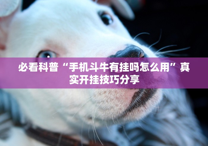 必看科普“手机斗牛有挂吗怎么用”真实开挂技巧分享