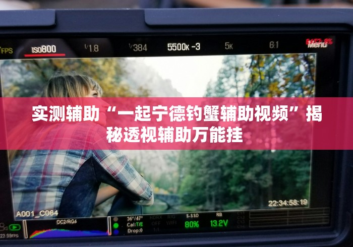 实测辅助“一起宁德钓蟹辅助视频”揭秘透视辅助万能挂 